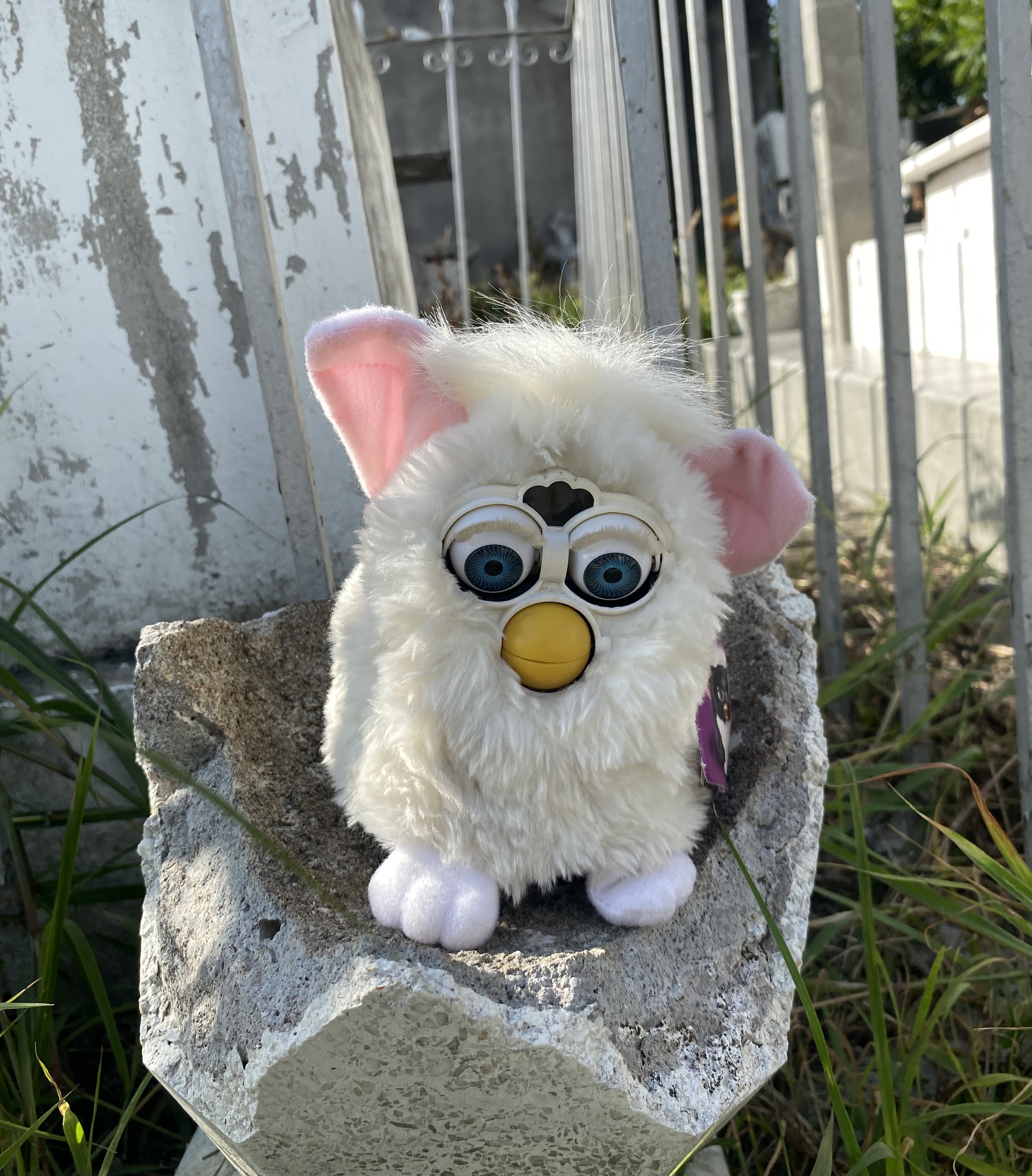 Furby